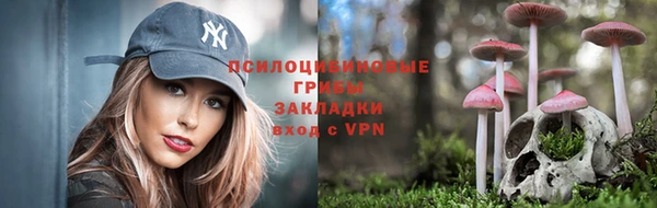 дмт Алзамай