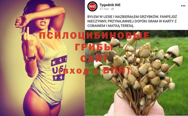 метамфетамин Алексеевка