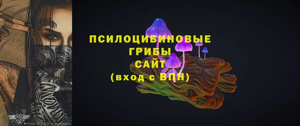 дмт Алзамай