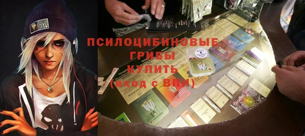 дмт Алзамай